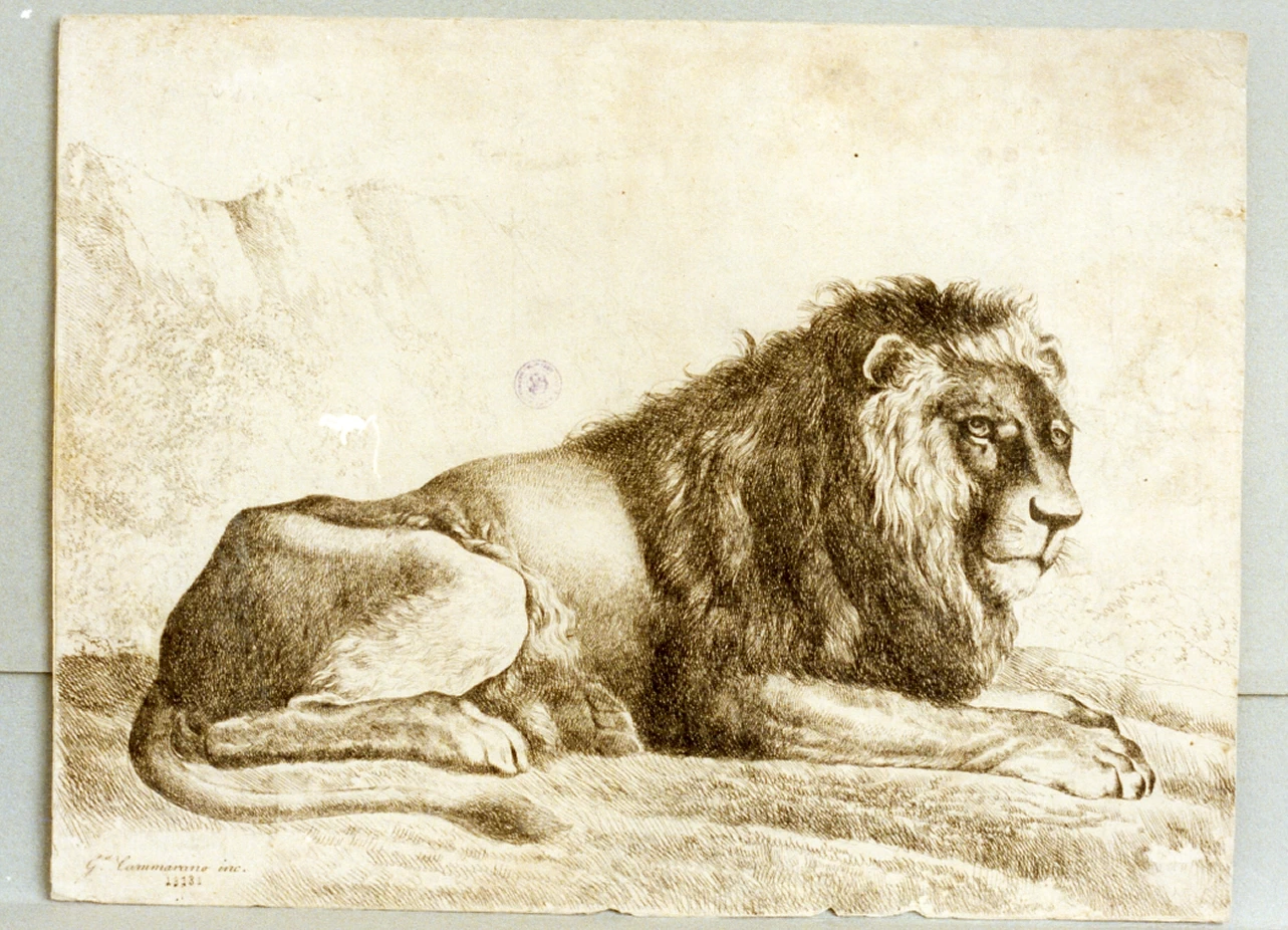 Leone - Certosa di san Martino, Napoli